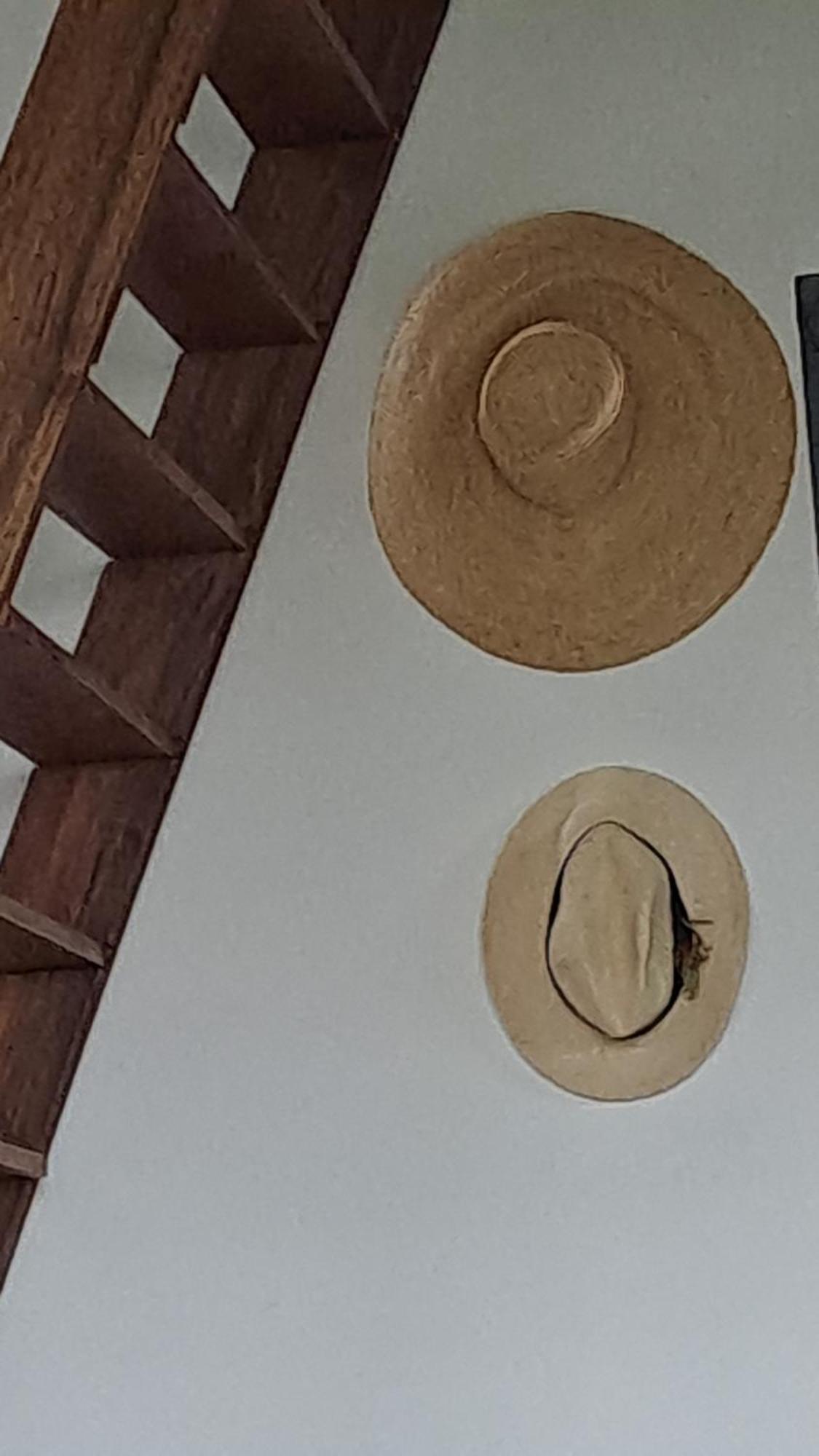 Farida Boekestijn Villa Jagtlust Bagian luar foto